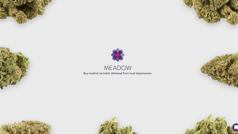 He Told His Parents He Was In The Medical Marijuana Business. Here’s How They Reacted